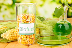 Stydd biofuel availability