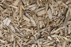 biomass boilers Stydd
